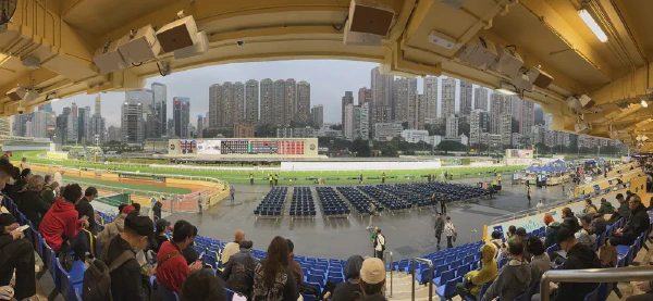 赛马场