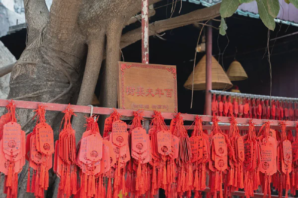 百年夫妻树