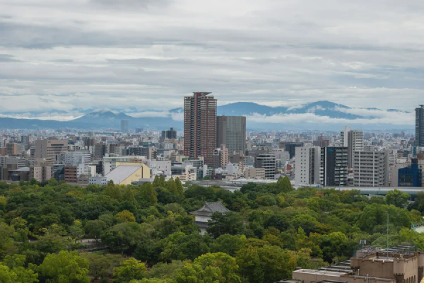 天守阁楼顶1
