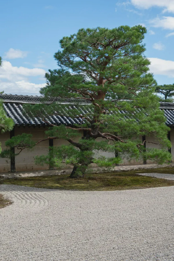 天龙寺