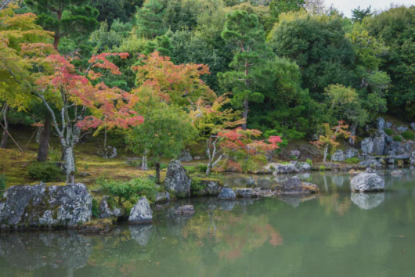 天龙寺的庭院