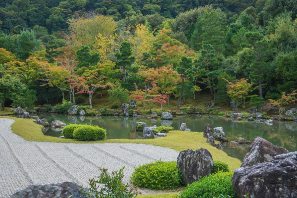 白色石头