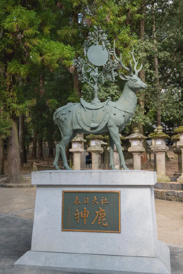 神鹿
