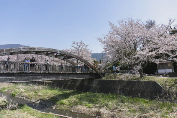 步道1