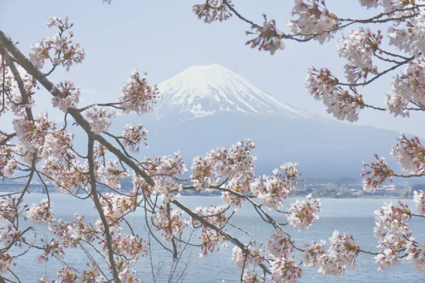 富士山1