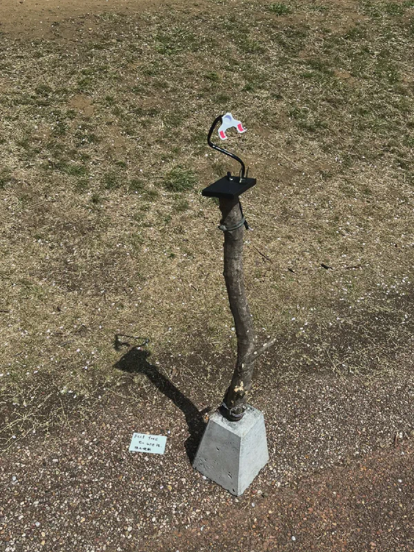 合影