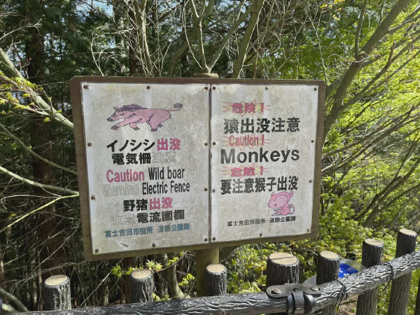 牌子